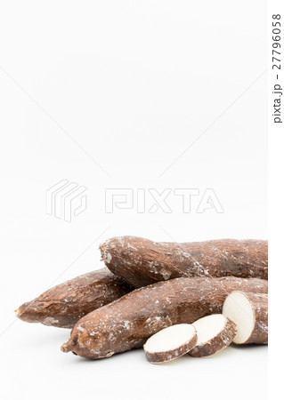 キャッサバ：Cassava 27796058