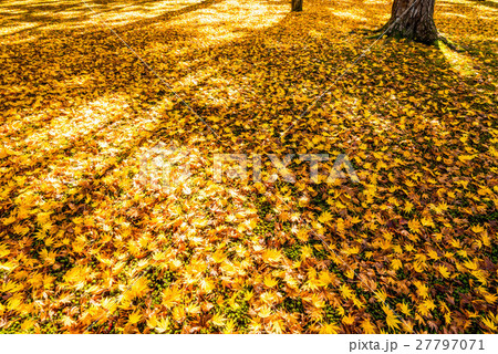 兼六園の紅葉 27797071