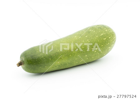 冬瓜（トウガン）：Winter melon 27797524