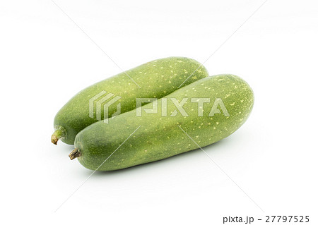冬瓜（トウガン）：Winter melon 27797525