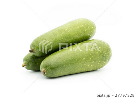 冬瓜（トウガン）：Winter melon 27797529