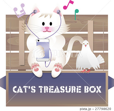 猫と木箱 猫と木箱 27798620