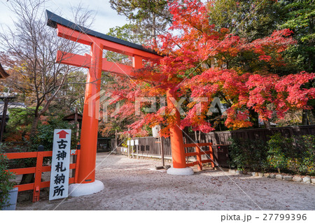 京都　下鴨神社の鳥居と紅葉  27799396