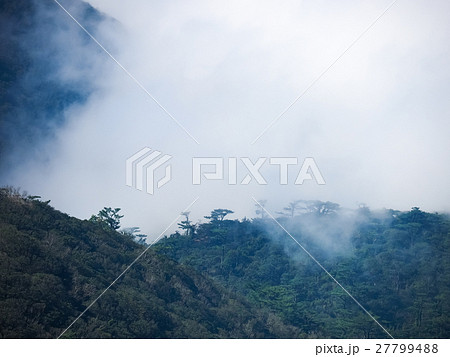 秋 あき 秋の 27799488