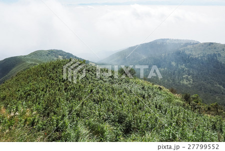 秋 あき 秋の 27799552