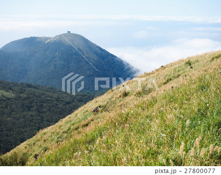 秋 あき 秋の 27800077