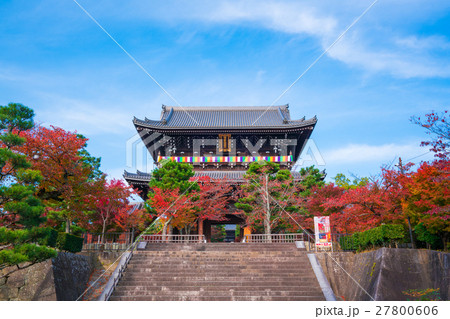 京都　金戒光明寺の紅葉 27800606