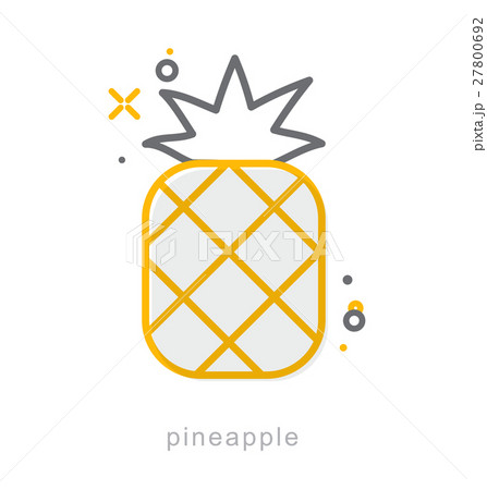 Thin line icons, Pineapple 27800692