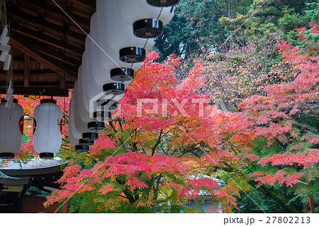京都 粟田神社の紅葉 京都 粟田神社の紅葉 27802213