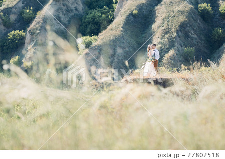 bride and groom hugging at the wedding in nature. bride and groom hugging at the wedding in nature. 27802518