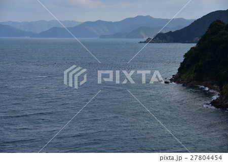 愛媛由良半島の由良湾 愛媛由良半島の由良湾 27804454