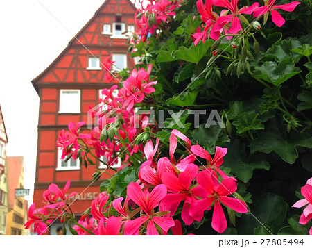 ドイツ ローテンブルク 街並み ピンクの花の写真素材