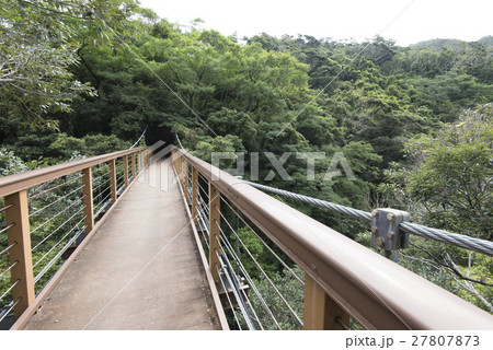 沖縄本島北部やんばる/比地大滝つり橋 27807873