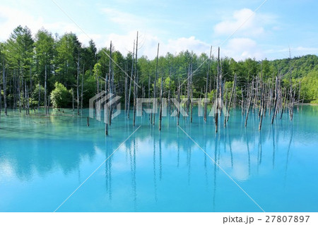北海道　美瑛の青い池 27807897