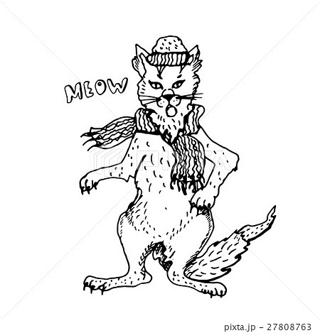 Hand drawn cute winter cat in the hat and scarf. Hand drawn cute winter cat in the hat and scarf. 27808763