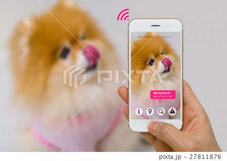 Augmented Reality of Pet Microchip Smartphone IOT 27811876