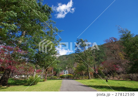 草 芝生 芝 27812530