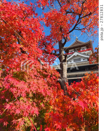 11月愛知 清洲城・天守閣と紅葉 27812831