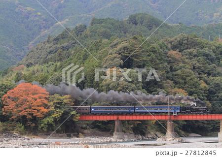 大井川鐡道　川根温泉から見える蒸気機関車 27812845