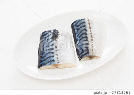 塩鯖　生　白バック 27813262