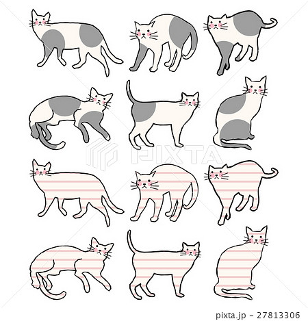 手描きの猫のイラスト素材