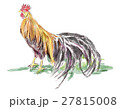 鶏　パソコン水彩画 27815008