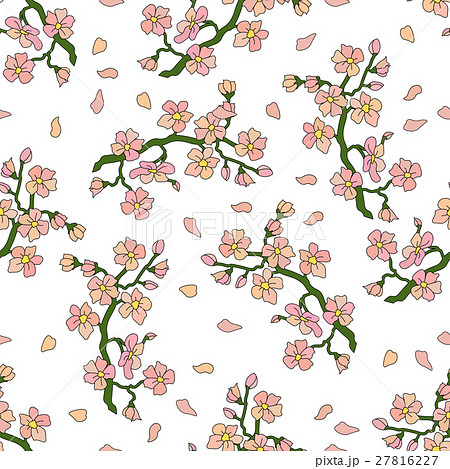 Gentle branch of cherry blossoms Gentle branch of cherry blossoms 27816227