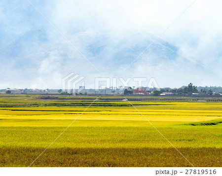花蓮 台東 池上 27819516