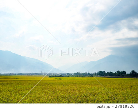 花蓮 台東 池上 27819526