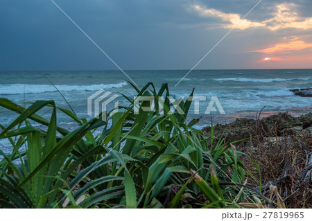 Sunset on tropical coastline Sunset on tropical coastline 27819965