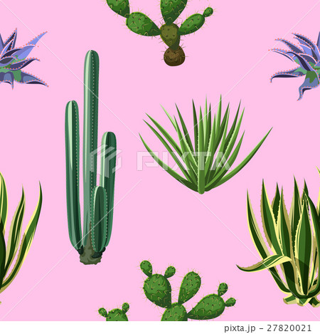 Seamless pattern with cactuses and succulents set 27820021