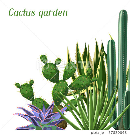 Background with cactuses and succulents set Background with cactuses and succulents set 27820048