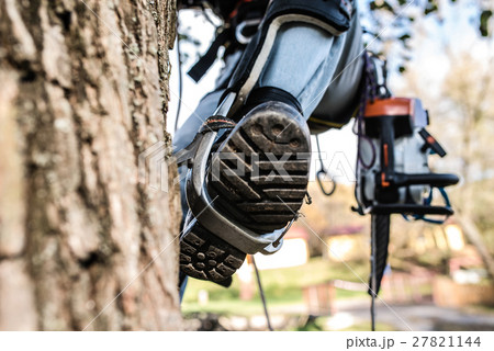 Close up of leg of lumberjack with a chainsaw 27821144