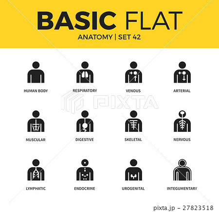 Basic set of anatomy icons Basic set of anatomy icons 27823518