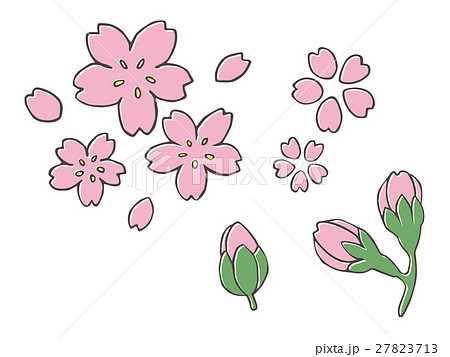 桜の花びら つぼみのイラスト 開花 花見 入学のイラスト素材