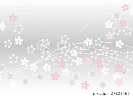 桜吹雪背景 グレーのイラスト素材