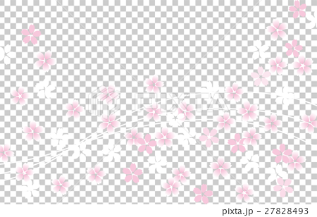 桜吹雪背景 透かしのイラスト素材 27828493 Pixta