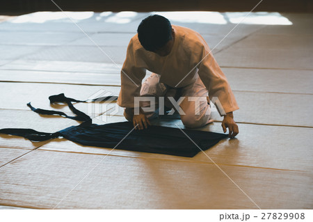 martial artist martial artist 27829908