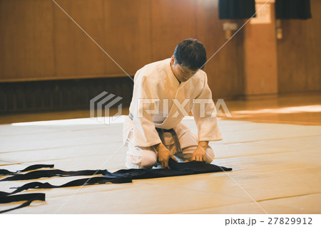 martial artist 27829912