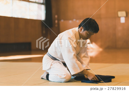 martial artist 27829916