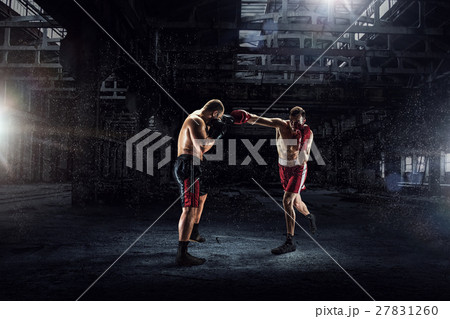 Battle of two boxers Battle of two boxers 27831260