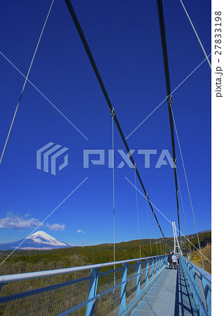 三島スカイウォーク -日本一長い吊橋- 27833198