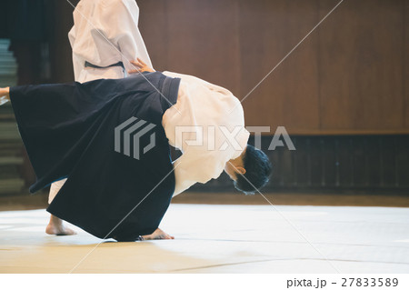 martial artist martial artist 27833589