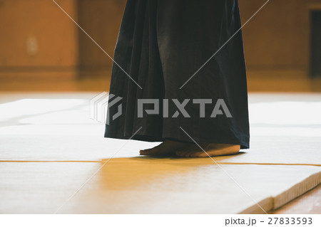 martial artist martial artist 27833593