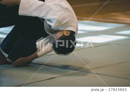 martial artist martial artist 27833603