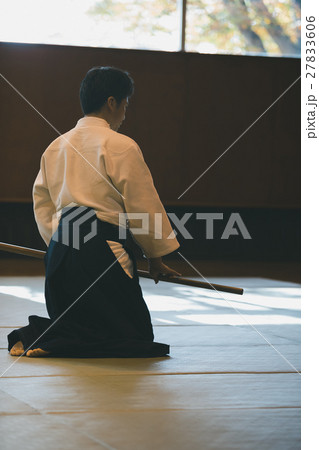 martial artist 27833606