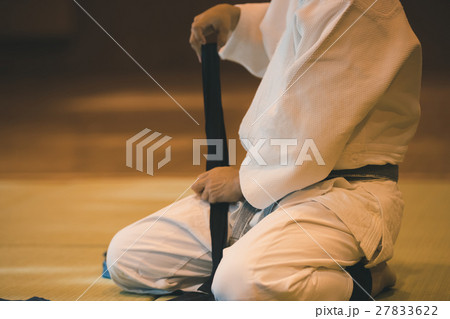 martial artist 27833622