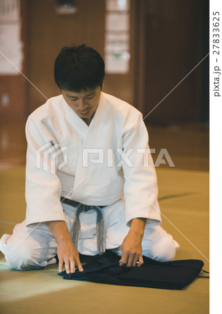 martial artist martial artist 27833625