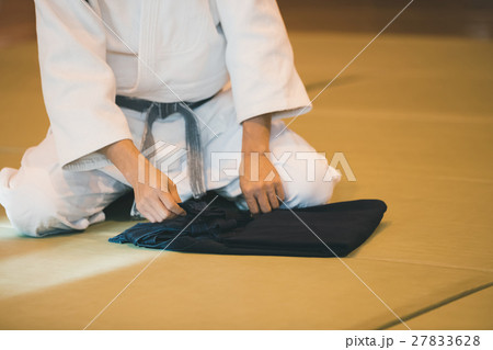 martial artist martial artist 27833628