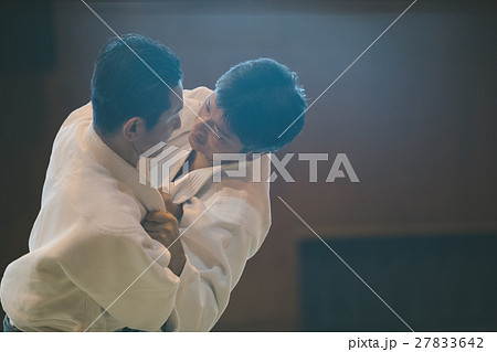 martial artist martial artist 27833642